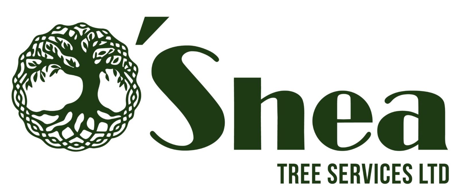 Bristol Marketing Company provided logo design, branding and graphic design for O'Shea Tree Services. Bristol Marketing Company also provided graphic design, website design, website development, professional photography and business card design.