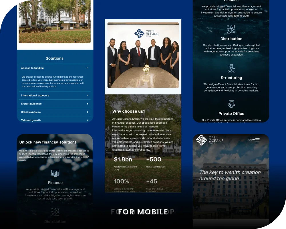 Open Oceans Group project results and website preview